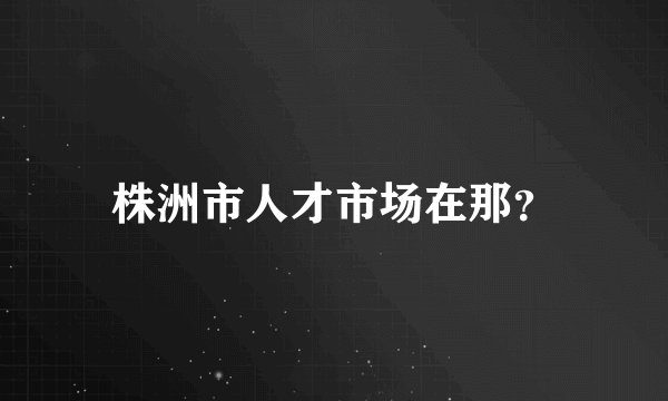株洲市人才市场在那？