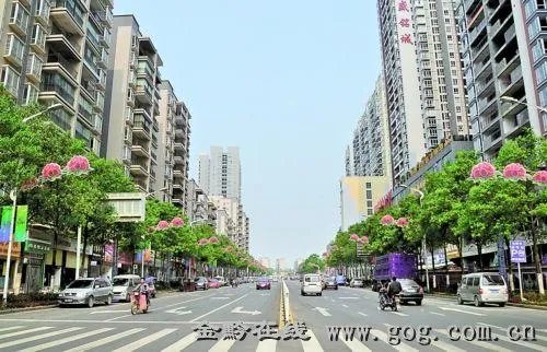 你知道中国百里杜鹃花都在哪里吗？