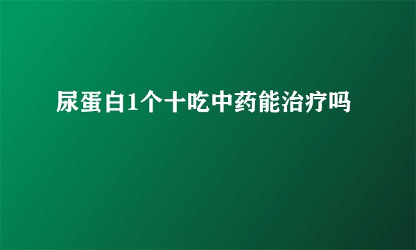尿蛋白1个十吃中药能治疗吗