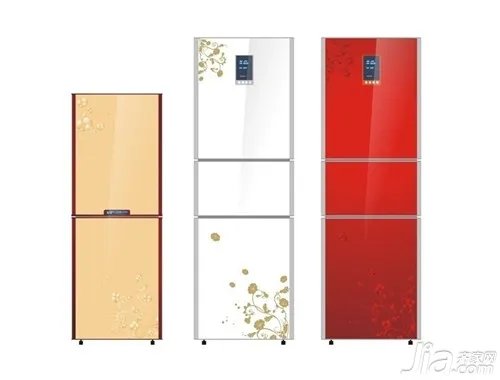 买冰箱要注意什么 一般人我不告诉他