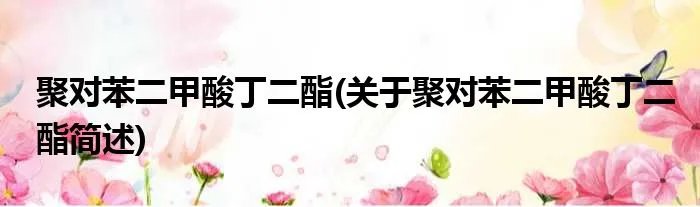 聚对苯二甲酸丁二酯(关于聚对苯二甲酸丁二酯简述)