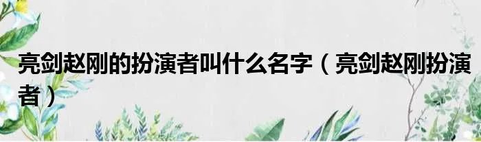 亮剑赵刚的扮演者叫什么名字（亮剑赵刚扮演者）
