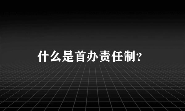 什么是首办责任制？