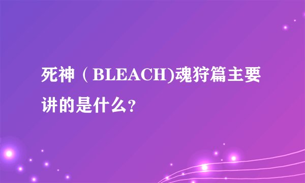 死神（BLEACH)魂狩篇主要讲的是什么？