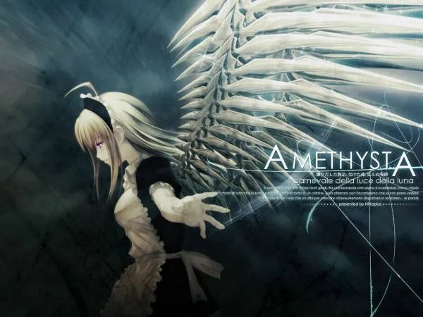 猎奇二次元解剖