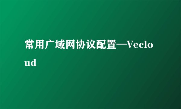 常用广域网协议配置—Vecloud
