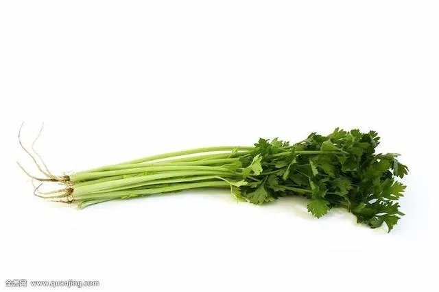 芹菜猪肉馅水饺的做法步骤图,怎么做好吃?