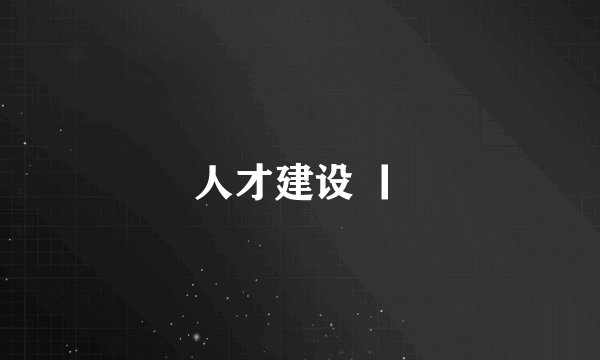 人才建设 丨