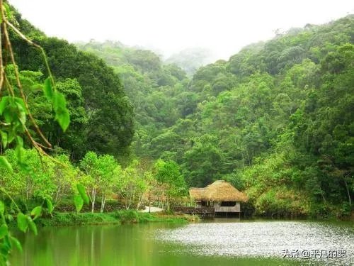 海南旅游业这几年有什么让你觉得进步的地方?