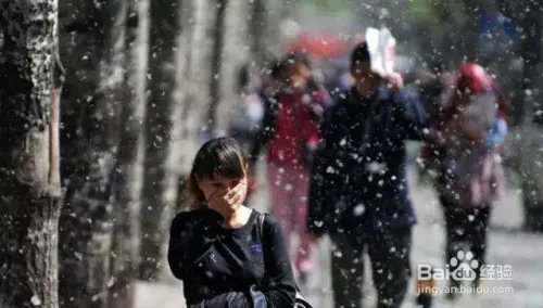 列举植物传播种子方法