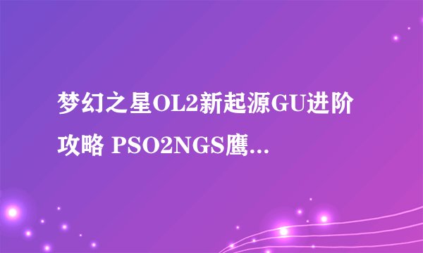 梦幻之星OL2新起源GU进阶攻略 PSO2NGS鹰眼输出循环分享
