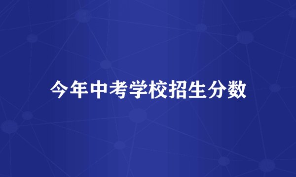 今年中考学校招生分数
