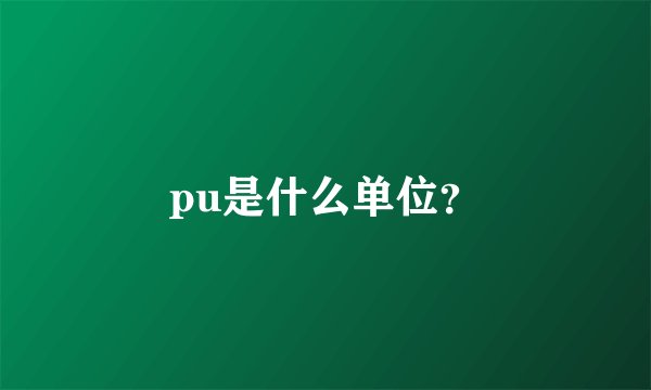 pu是什么单位?