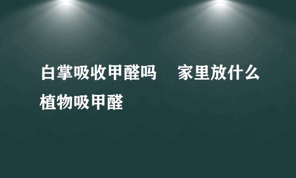 白掌吸收甲醛吗    家里放什么植物吸甲醛