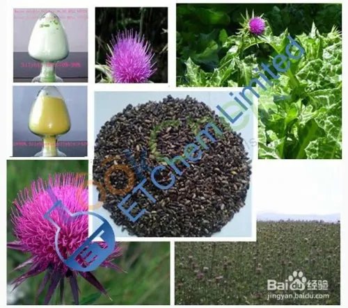 Lookchem 产品排名提升方法