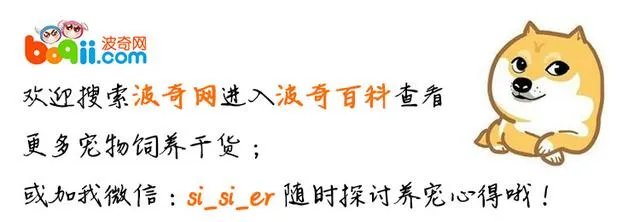 冠生园董事长旅游时被猴子蹬石砸死，应该如何问责和赔偿？