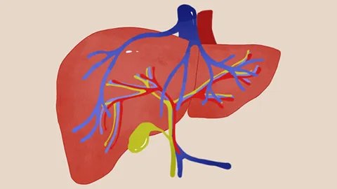 最好的抗肝癌药有哪些