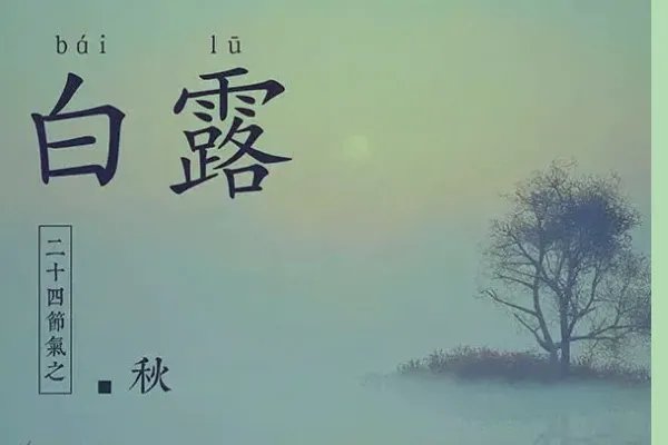 白露美好诗句
