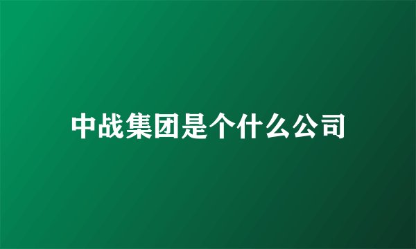 中战集团是个什么公司