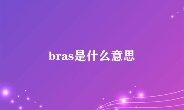 bras是什么意思