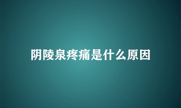 阴陵泉疼痛是什么原因