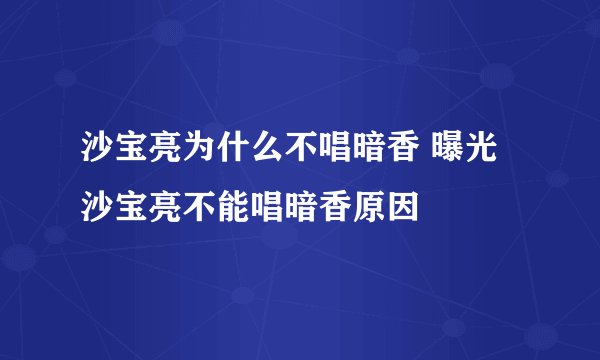 沙宝亮为什么不唱暗香 曝光沙宝亮不能唱暗香原因
