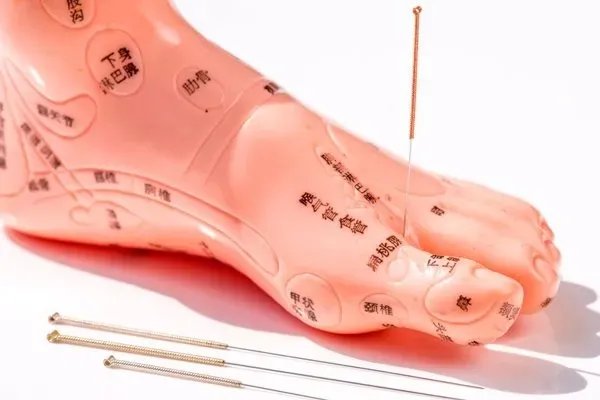 劳动部针灸师证怎么报名