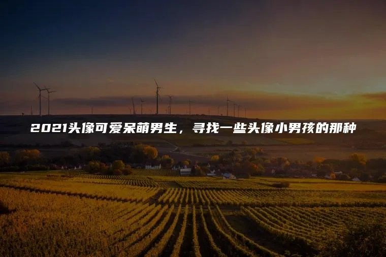 2021头像可爱呆萌男生，寻找一些头像小男孩的那种