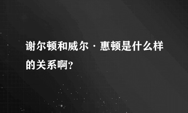 谢尔顿和威尔·惠顿是什么样的关系啊？