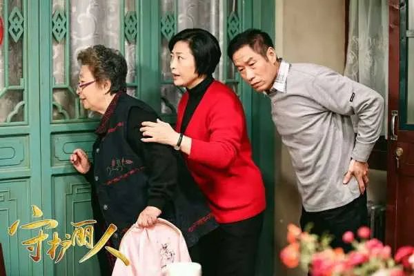 如何评价电视剧《守护丽人》?值得一看吗?