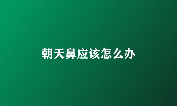 朝天鼻应该怎么办