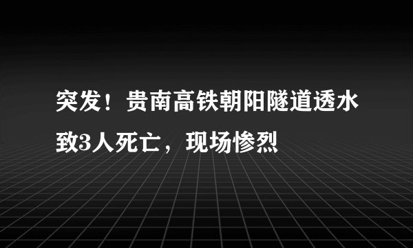 突发！贵南高铁朝阳隧道透水致3人死亡，现场惨烈