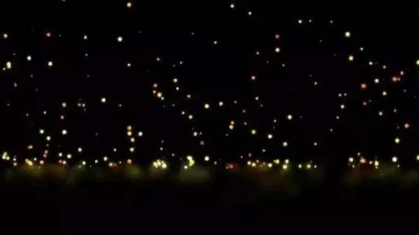 宇宙中最基本的东西是什么呢?