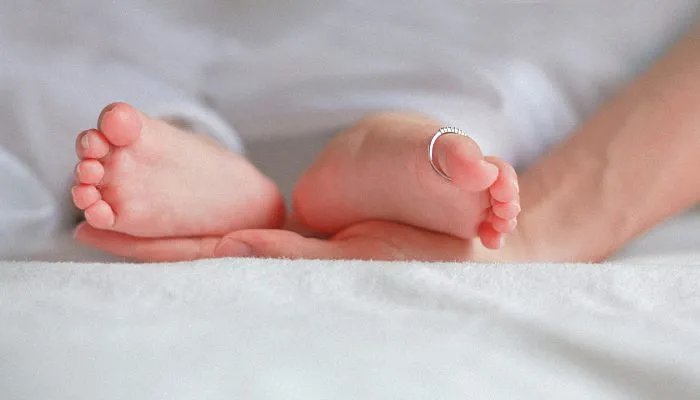 月子中心鸡汤里加党参为何被罚是怎么回事 月子中心鸡汤里加党参为何被罚是什么情况