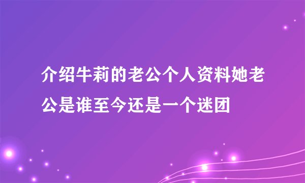 介绍牛莉的老公个人资料她老公是谁至今还是一个迷团