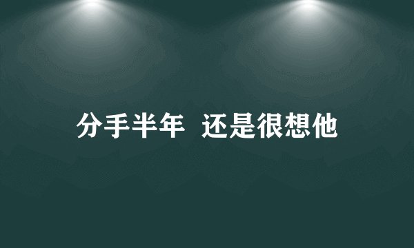分手半年  还是很想他