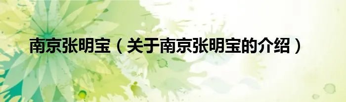 南京张明宝（关于南京张明宝的介绍）