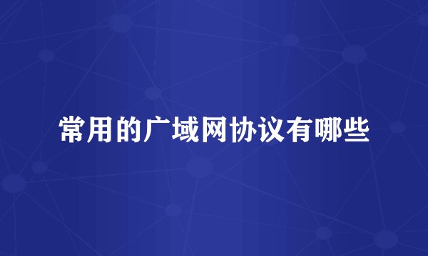 常用的广域网协议有哪些