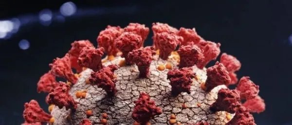 世卫组织为何将新型变异毒株命名为“奥密克戎”？