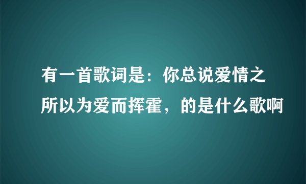 有一首歌词是：你总说爱情之所以为爱而挥霍，的是什么歌啊