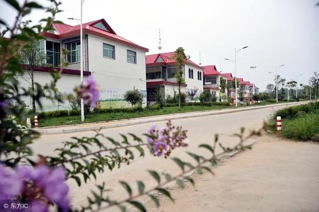 吉林省通榆县有新村规划吗？