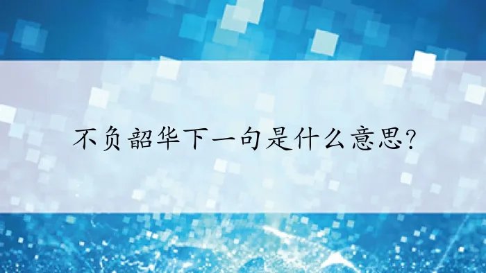 不负韶华下一句是什么意思？