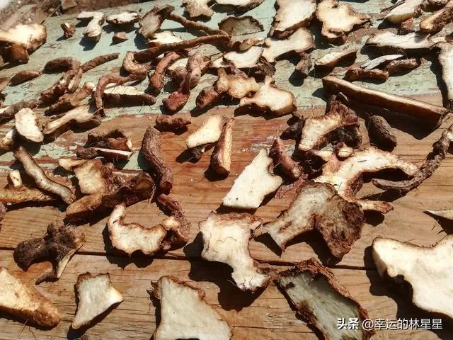 野生药材一定比种植药材好吗?