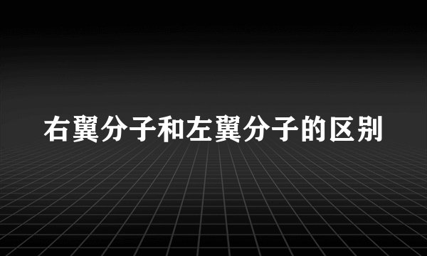 右翼分子和左翼分子的区别