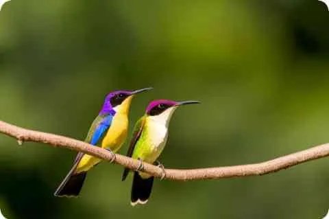 个人身份信息查询