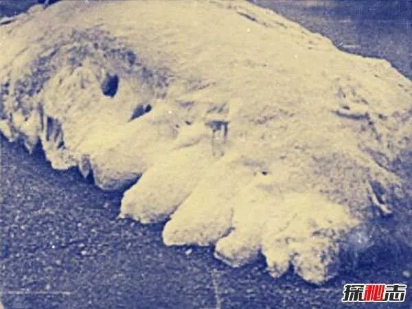 双鱼玉佩事件5张图真实