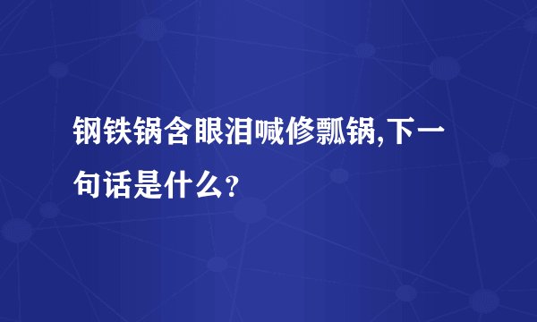 钢铁锅含眼泪喊修瓢锅,下一句话是什么？