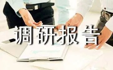 招商引资调研报告