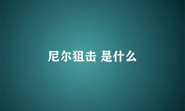 尼尔狙击 是什么