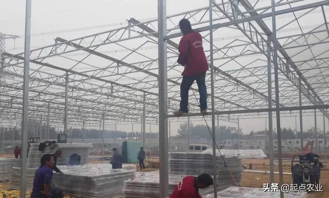 蔬菜大棚和蔬菜温室的区别是什么？